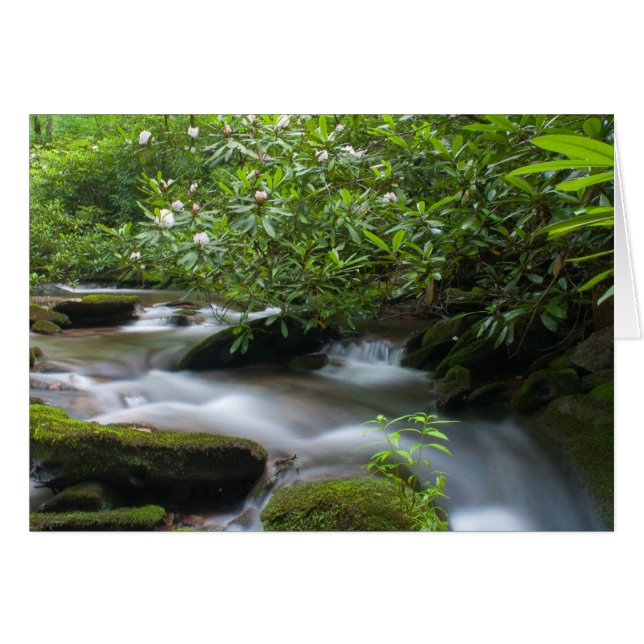 The Creekカードのシャクナゲ (正面横)