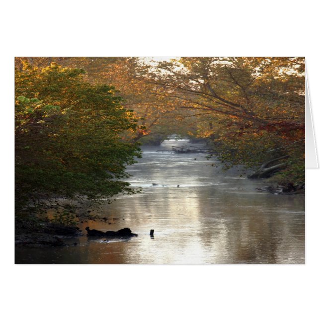 The Creek (正面横)