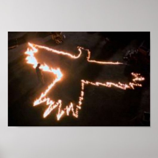 THE CROW  Fire Bird ポスター (正面)