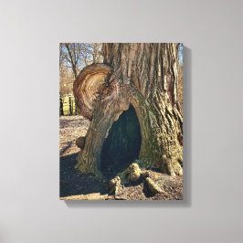 The Curious Hollow 11 x 14 キャンバスプリント