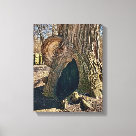 The Curious Hollow 11 x 14 キャンバスプリント (正面)