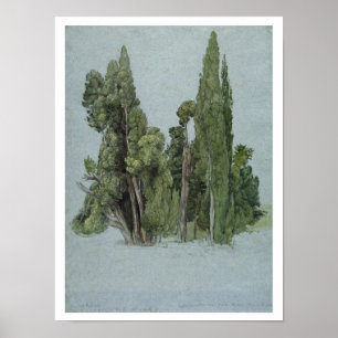 The Cypresses at the Villa d'Este, Tivoli (w/c & g ポスター