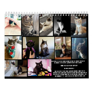 The Daily Mews, Cat Charity Calendar 2025 カレンダー