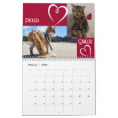 The Daily Mews, Cat Charity Calendar 2025 カレンダー (2月 2026)