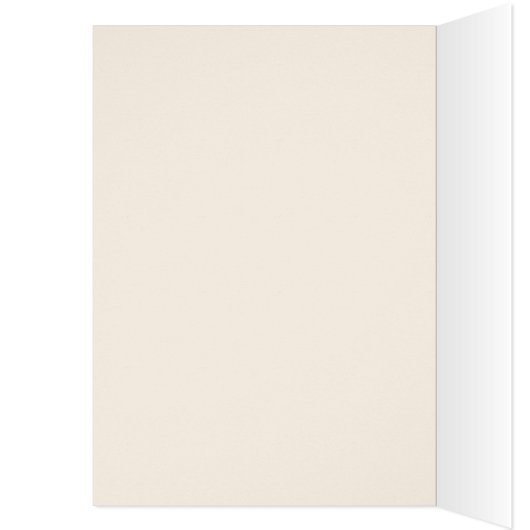 The Dao of Meow (内側 (左))