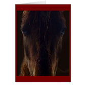 The dark horse card (正面)