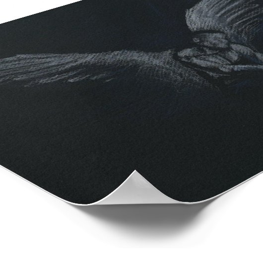 The Darkened Light ポスター (角)