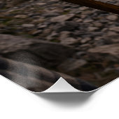 The darkest valley ポスター (コーナー)