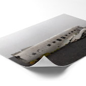 The DC9 plane wreck ポスター (角)