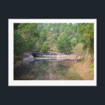 The dense jungle that surrounds MySon in Vietnam ポストカード<br><div class="desc">This is a phot taken on the outskirts of MySon (pronounced MeeSon) in Vietnam. It is the sight of ancient temples and artwork and has been developed as a tourist site.</div>