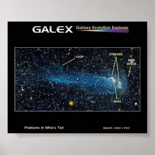 The Detailed Star Mira with Tail ポスター (正面)