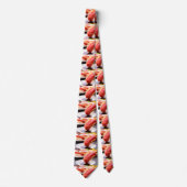 The Dip – Dramatic Sushi Tie ネクタイ (正面)