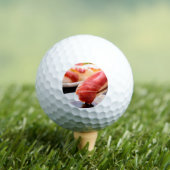 The Dip – Soy Sauce Swing Golf Ball ゴルフボール (インサイチュ 木)