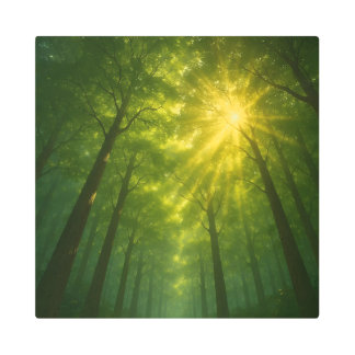 The Divine Light Path: Cathedral of the Emerald Fo メタルプリント