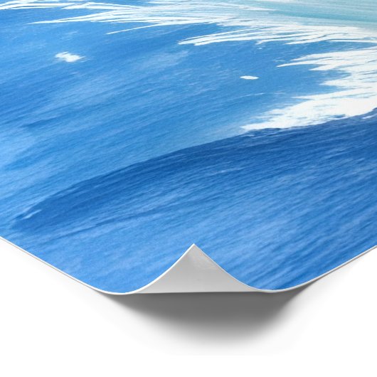 The Dolphin’s Silent Dance ポスター (角)