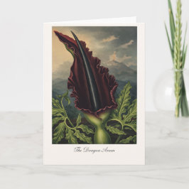The Dragon Arum — Modern Botanical Reinterpretatio カード