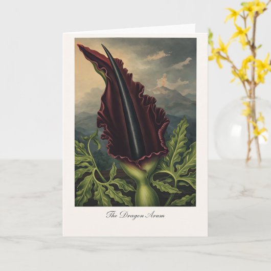 The Dragon Arum — Modern Botanical Reinterpretatio カード (黄色い花)