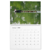 THE DUCK PATROL, 2026 CALENDAR カレンダー (1月 2026)
