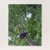 The Eagle's Perch - 16x20 - 520個のジグソーパズル ジグソーパズル (縦)
