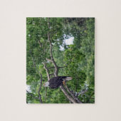 The Eagle's Perch - 8x10 - 110個のジグソーパズル ジグソーパズル (縦)