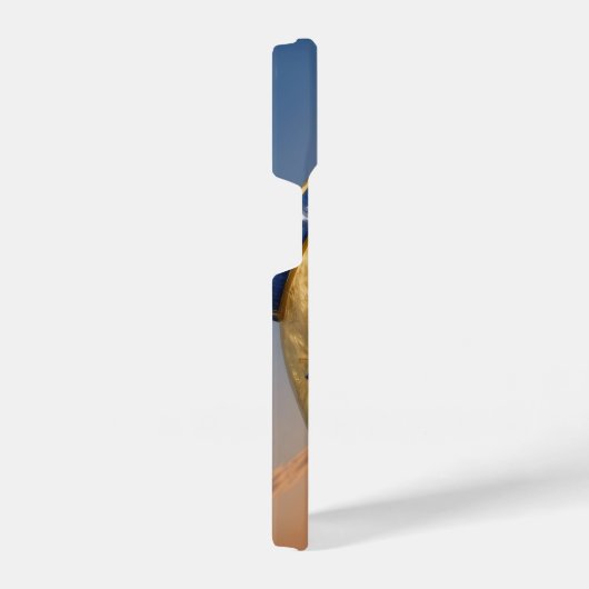 The Egyptian Eye  iPhoneケース (右側面)