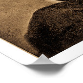 The Emancipator素晴らし - Abe Lincoln (1865) ポスター (角)