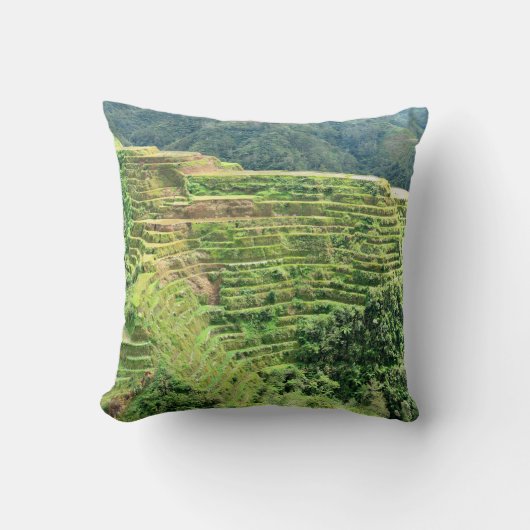 The Emerald Terraces クッション (正面)