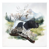 The English Pointer フォトプリント (正面)