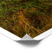 The Evening Glow of Greystones Coast ポスター (角)