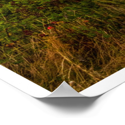 The Evening Glow of Greystones Coast ポスター (角)