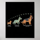 The Evolution Of A German Shepherd - Dog Owner Pet ポスター (正面)