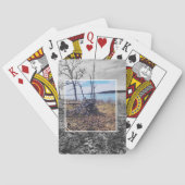 The Fallen Tree Playing Cards トランプ (裏面)
