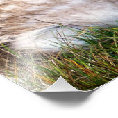 The Fallow Deer of the Glen フォトプリント (角)