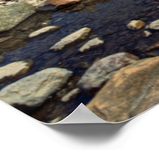 The Famous Fitz Roy ポスター (角)