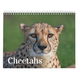 The Fast and the Beautiful: Cheetah Collection カレンダー