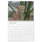 The Fast and the Beautiful: Cheetah Collection カレンダー (3月 2027)