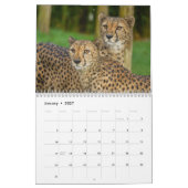 The Fast and the Beautiful: Cheetah Collection カレンダー (1月 2027)