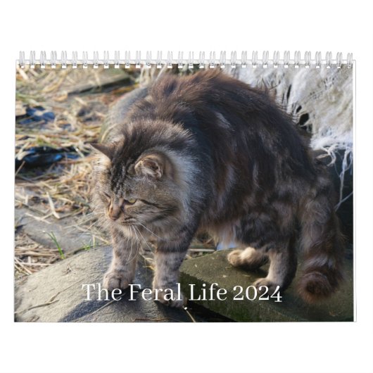 The Feral Life 2024美しい自然の猫カレンダー カレンダー (カバー)