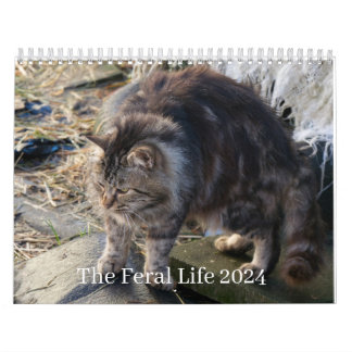 The Feral Life 2024美しい自然の猫カレンダー カレンダー