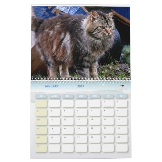 The Feral LIfe Photo Cats 2026 カレンダー (1月 2027)