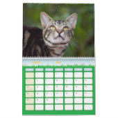 The Feral LIfe Photo Cats 2026 カレンダー (3月 2027)