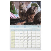 The Feral LIfe Photo Cats 2026 カレンダー (2月 2027)