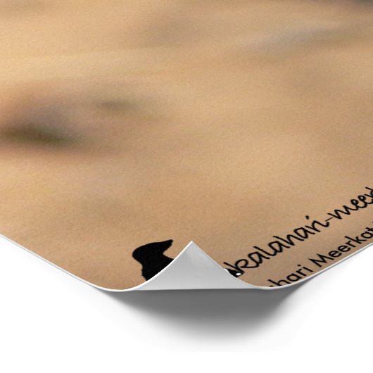 The Fluffernutter Collection - Daydreaming ポスター (角)