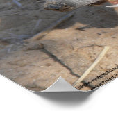 The Fluffernutter Collection - Eating ポスター (角)