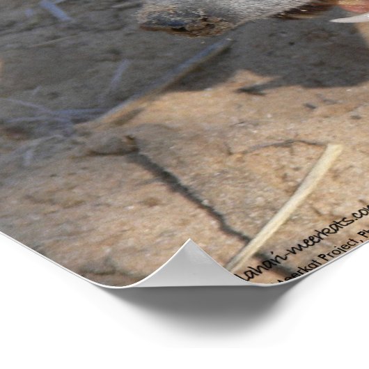 The Fluffernutter Collection - Eating ポスター (角)