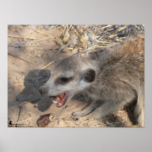 The Fluffernutter Collection - Eating ポスター (正面)