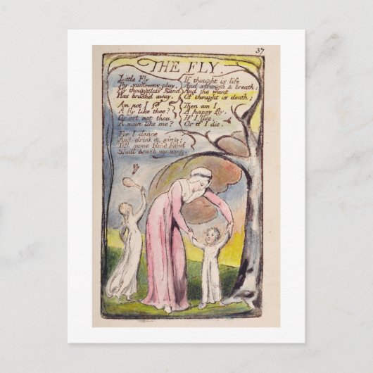『The Fly』、プレート37、『Songs of Innoble and o』 ポストカード (正面)
