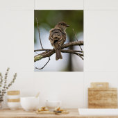 The Fly Catcher ポスター (キッチン)