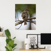 The Fly Catcher ポスター (ホームオフィス)