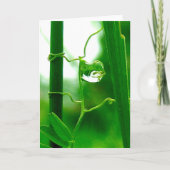 The Fool, Tarot in Nature, New Beginnings カード (正面)